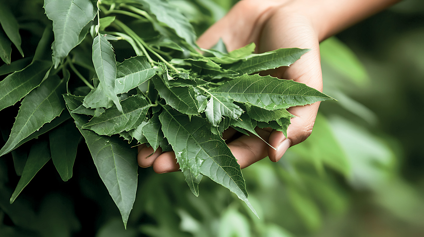 MY.ORGANICS — приверженность устойчивому развитию